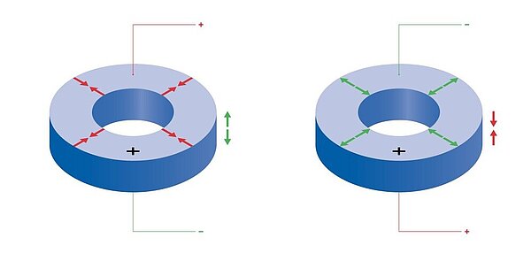 PI Ceramic Piezoceramic Standard Rings