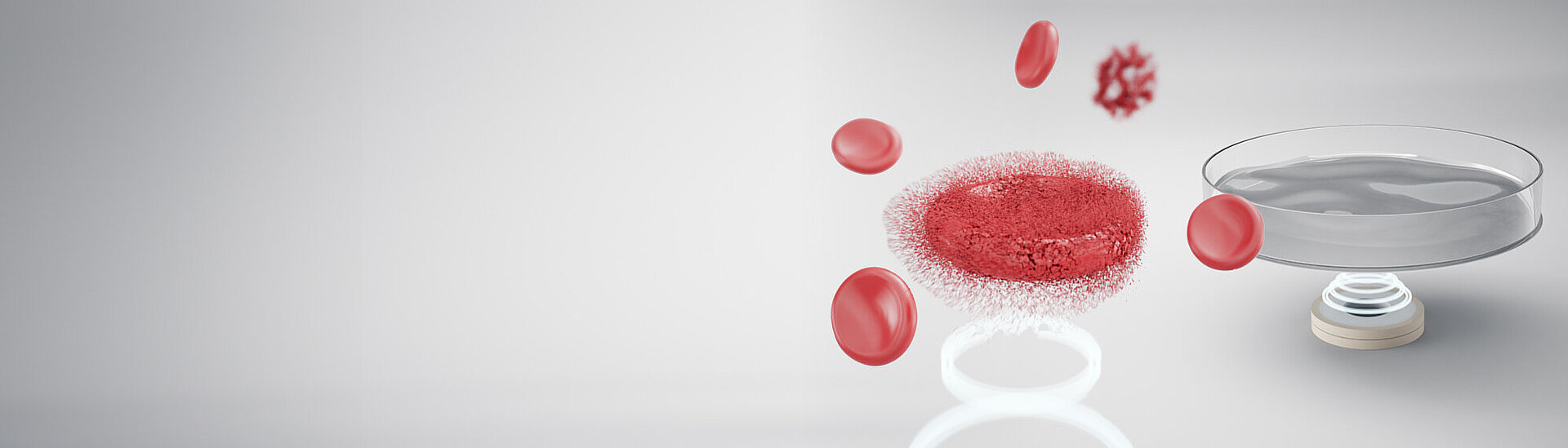 PI Ceramic Ultrasound Assisted Cell Lysis for IVD