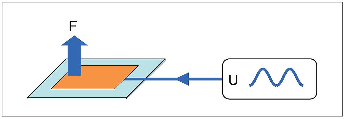 The inverse piezoelectric effect