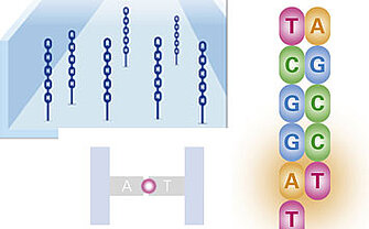 XYZ "Sequencing-by-Synthesis" genome sequencing used for fight against COVID-19 XYZ "Sequencing-by-Synthesis" genome sequencing used for fight against COVID-19