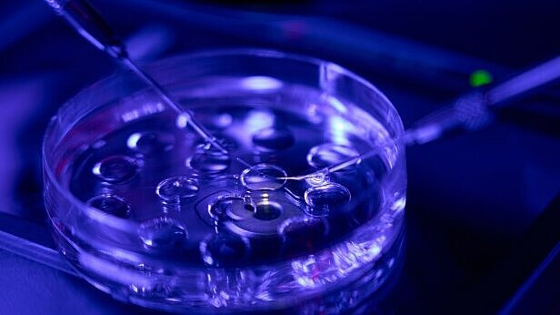 PI Ceramic Precision and Innovation in Modern Reproductive Medicine