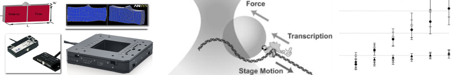 High Stability Positioning Stage with Self-Clamping Ceramic Linear Motors Provides Long-Term Nanoscale Stability